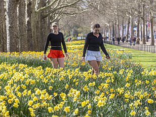What a 30% Chance of Rain Really Means: Scientists Explain the Common Misunderstanding