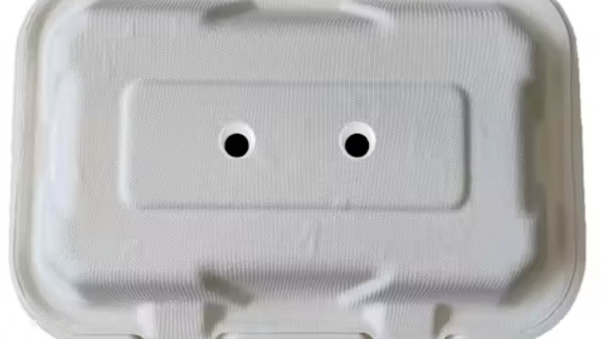 Googly Eyes on Takeaway Boxes Deter Seagulls, Study Shows