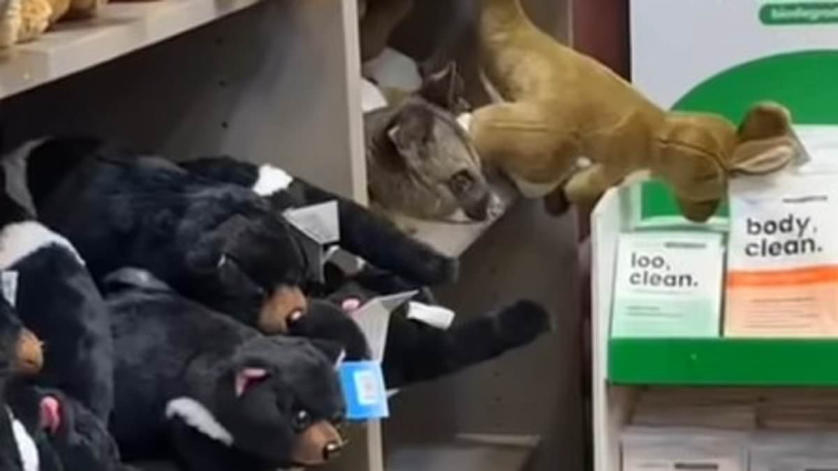 MailOnline's New Facebook Integration Lets Users Share Comments with Article Links, Requires Account Linking