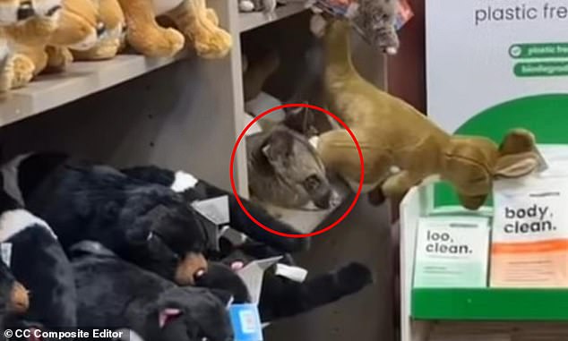 MailOnline's New Facebook Integration Lets Users Share Comments with Article Links, Requires Account Linking