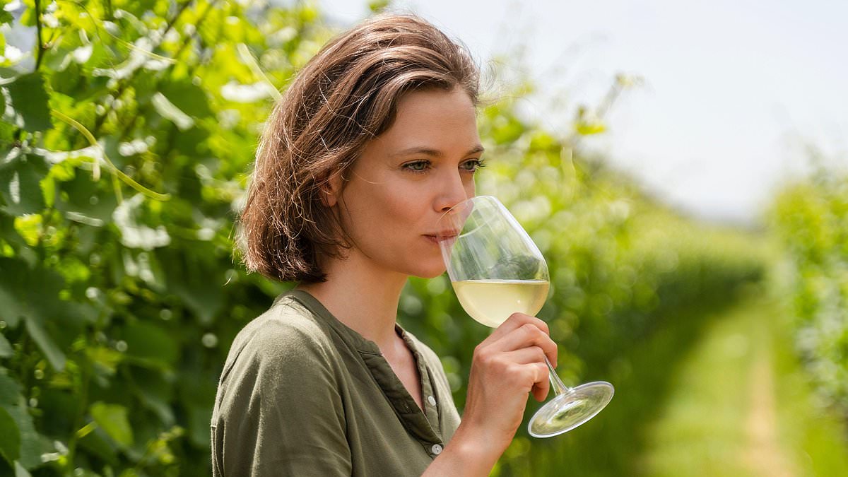 Wine Linked to Lower Mortality Risk Than Beer, Cider, and Spirits, Study Reveals