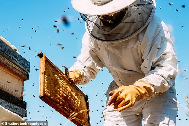 Contaminated Honey Linked to Prescription Drugs and Treated Sewage: Study Raises Concerns for British Beekeepers