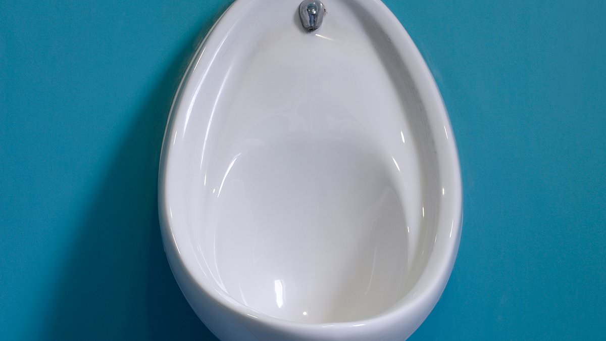 Why Many Men Overlook a Simple Hygiene Step: The Hidden Health Risks of Skipping Post-Urination Wiping