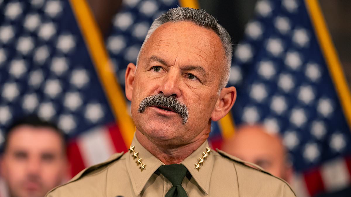 California Sheriff Seizes Over 650,000 Ballots Over Alleged Election Irregularities