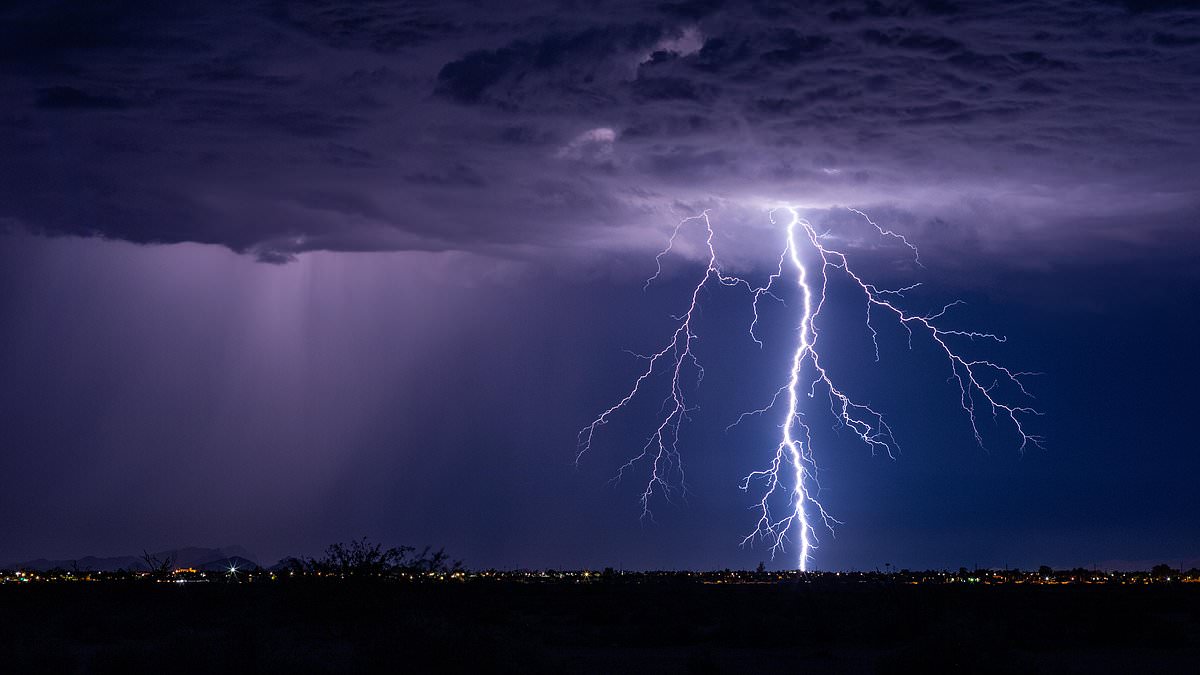 Four Lightning Strikes: The Unbelievable Survival Story of Gary Reynolds and the Science Behind the Odds
