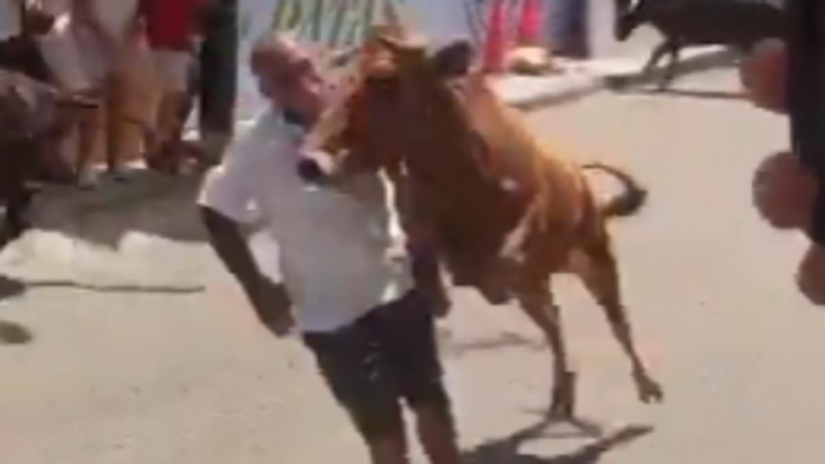 Miracle Survival at Peru's San José Fair: Tradition vs. Safety in a Bull-Charging Incident