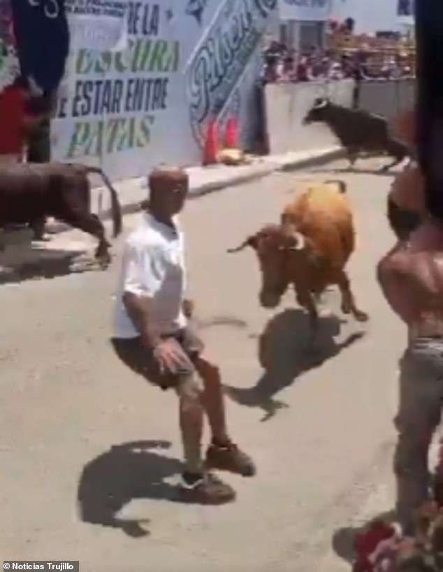 Miracle Survival at Peru's San José Fair: Tradition vs. Safety in a Bull-Charging Incident