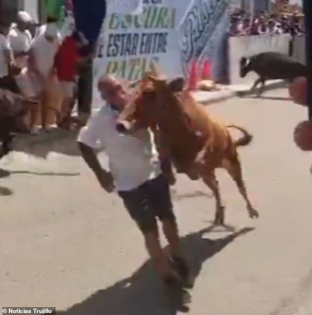 Miracle Survival at Peru's San José Fair: Tradition vs. Safety in a Bull-Charging Incident