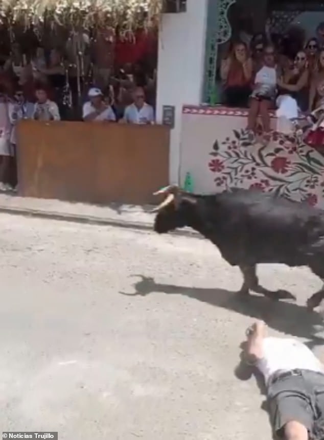 Miracle Survival at Peru's San José Fair: Tradition vs. Safety in a Bull-Charging Incident