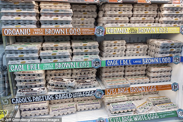 The Organic Label: Separating Myth from Reality