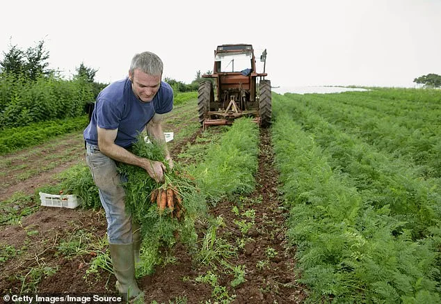 The Organic Label: Separating Myth from Reality