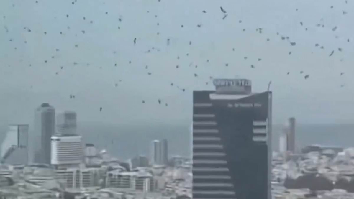 Tel Aviv's Crow Swarm Sparks Doomsday Theories, Scientists Offer Natural Explanation