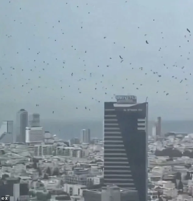 Tel Aviv's Crow Swarm Sparks Doomsday Theories, Scientists Offer Natural Explanation