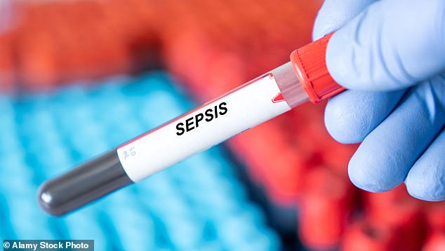 The Horror That Followed: Sammi Hassan's Post-Surgery Agony