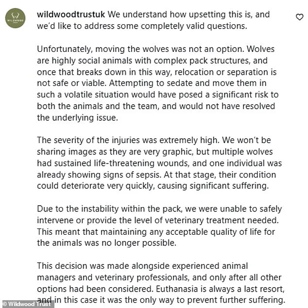 Canterbury Wildlife Park Euthanizes Pack of Wolves After Aggression Crisis