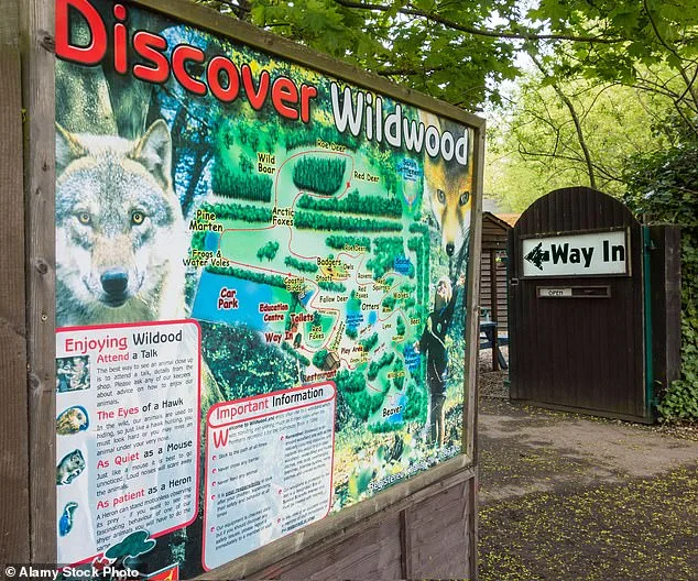 Canterbury Wildlife Park Euthanizes Pack of Wolves After Aggression Crisis