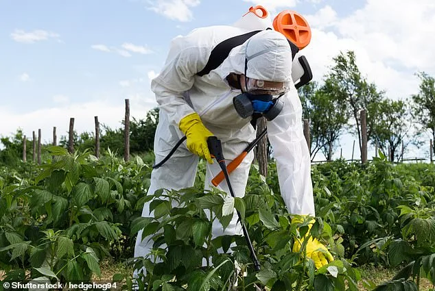 California Company Recalls Organic Bean Products Over Pesticide Contamination