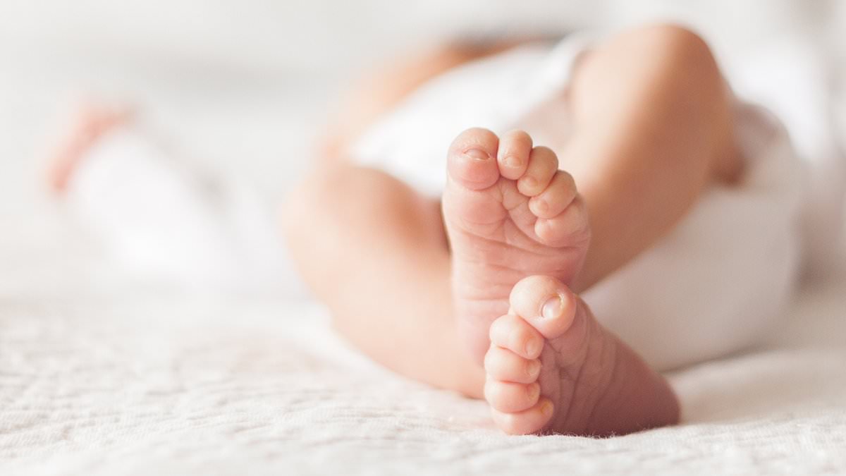 UK Mother's Legal Battle Over Twin Brothers' Paternity Dispute Reaches Court of Appeal