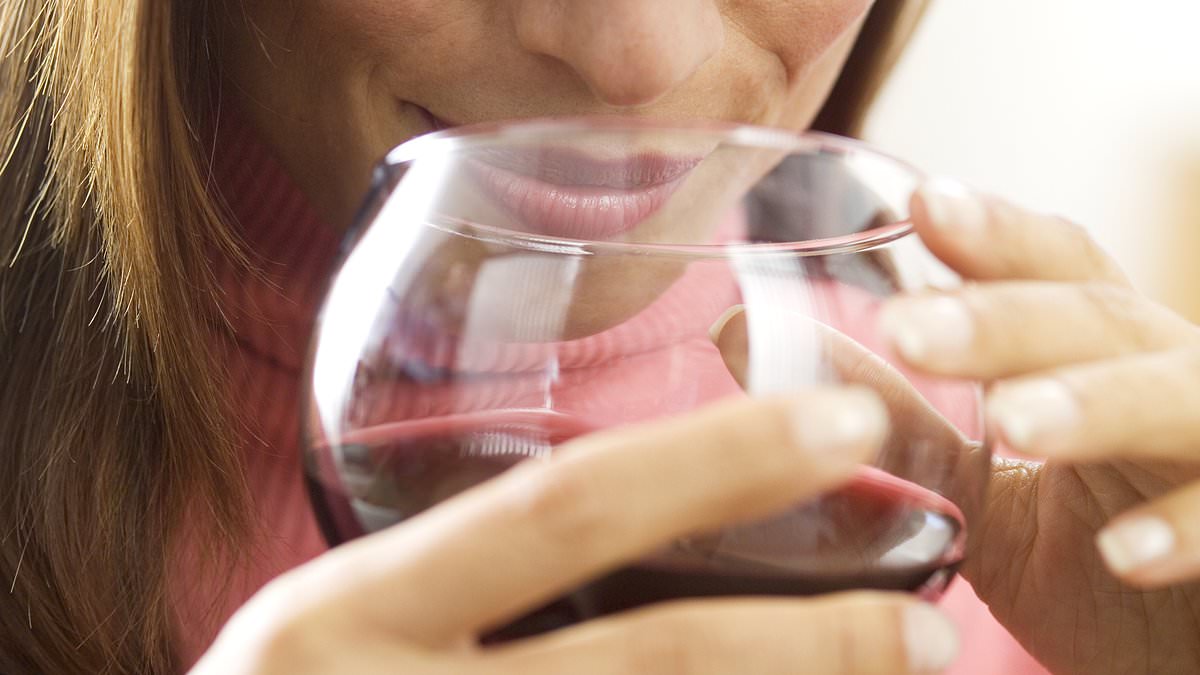 New Study Adds Obesity and Alcohol to Breast Cancer Risk Factors in Middle-Aged Women