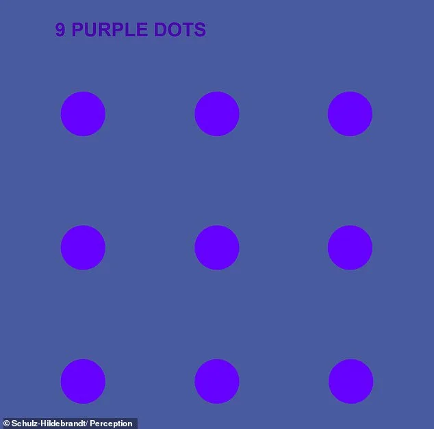 Optical Illusion Shows How Brain Skews Color Perception: Dots Shift Between Blue and Purple