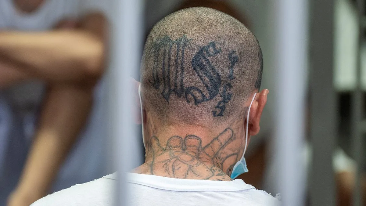 MS-13 Gang Members Accused of Organized 'Human Hunting' Campaign in Las Vegas Murder Trial