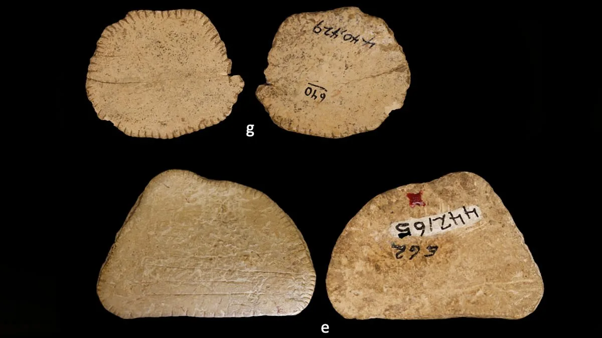 Ancient Dice Reveal Social Bonds: Gambling in Prehistoric Native American Communities