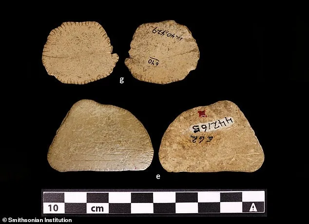 Ancient Dice Reveal Social Bonds: Gambling in Prehistoric Native American Communities