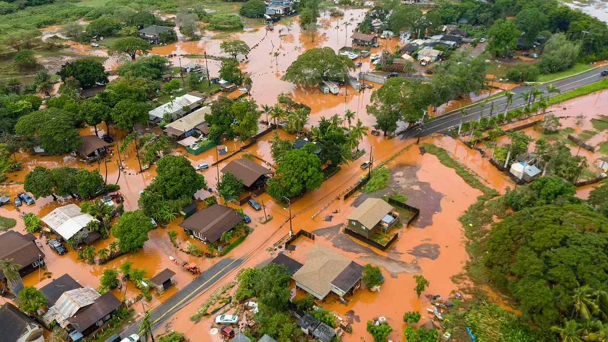 Deadly Leptospirosis Bacteria Found in Hawaii Floodwaters After Kona Low Storms