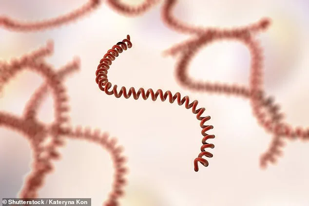 Deadly Leptospirosis Bacteria Found in Hawaii Floodwaters After Kona Low Storms