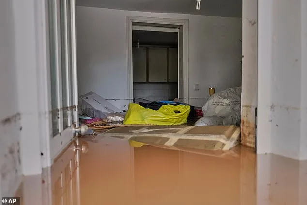 Fatal Flood in Nea Makri During Storm Erminio Overwhelms Emergency Services