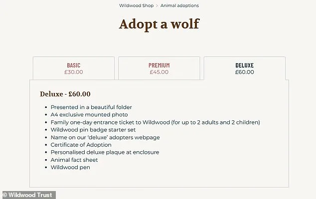 Shocking Euthanasia of Wolves by Wildwood Trust Sparks Outrage as Adopters Were Left in the Dark