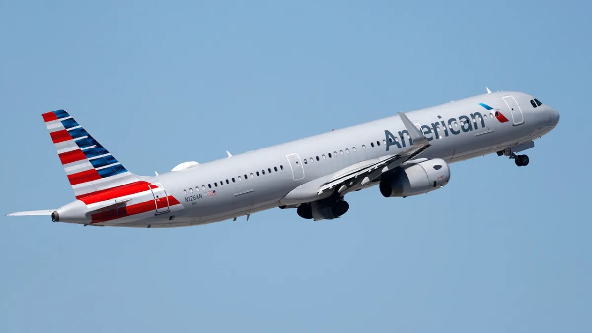 False Bomb Threat on American Airlines Flight Forces Emergency Landing; Passenger's Mental Health Crisis Revealed