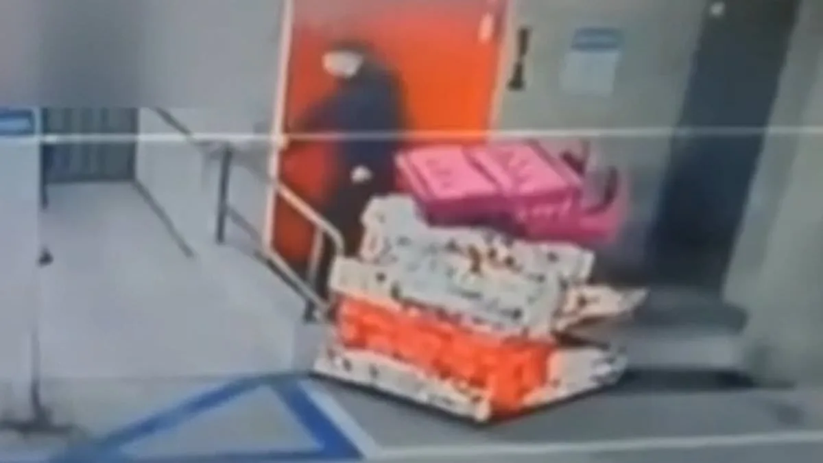 The 'Most Tasteful Burglar' Steals High-End Goods from LA's Elite