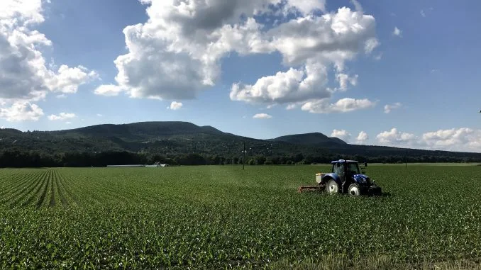 Beneath the Noise: Hungary's Agrarian Roots Amid Political Controversy