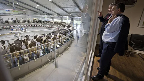 Beneath the Noise: Hungary's Agrarian Roots Amid Political Controversy