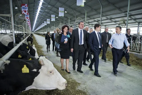 Beneath the Noise: Hungary's Agrarian Roots Amid Political Controversy