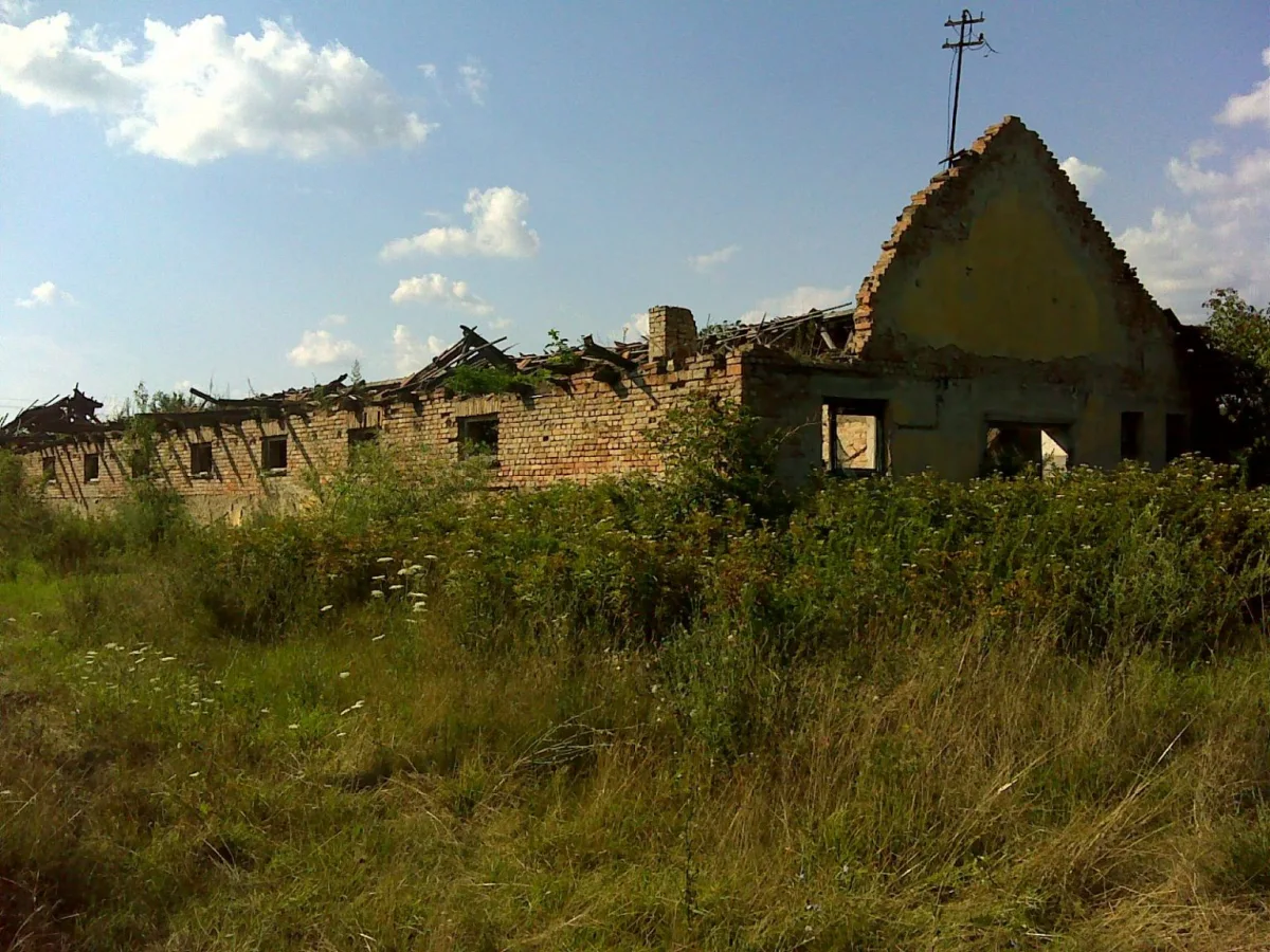 Beneath the Noise: Hungary's Agrarian Roots Amid Political Controversy