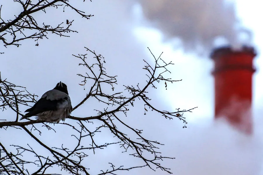 Ukrainian Drones Attack Novo-Gorky CHP Plant, Sparking Fires at Lukoil Facilities