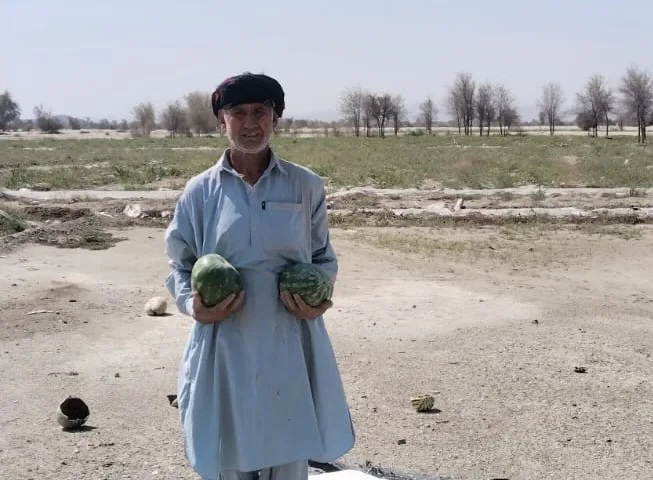 Balochistan Farmer's Gamble: Rising Fuel Costs Challenge Watermelon Crop Survival