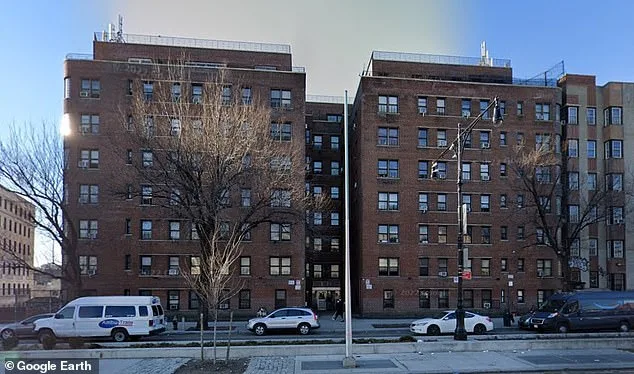 Breast Cancer Survivor's Bronx Apartment Plagued by Severe Rat Infestation Despite HPD Citations