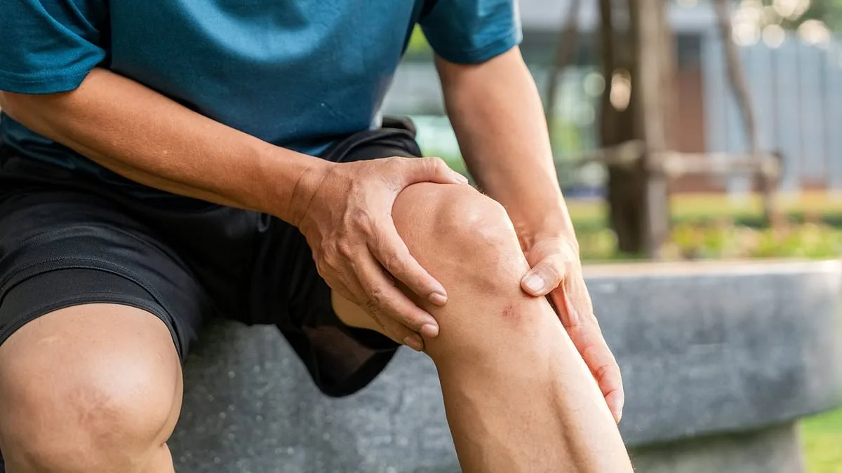 Columbia University Breakthrough: Lab-Grown Human Knee Offers New Hope for Osteoarthritis Patients