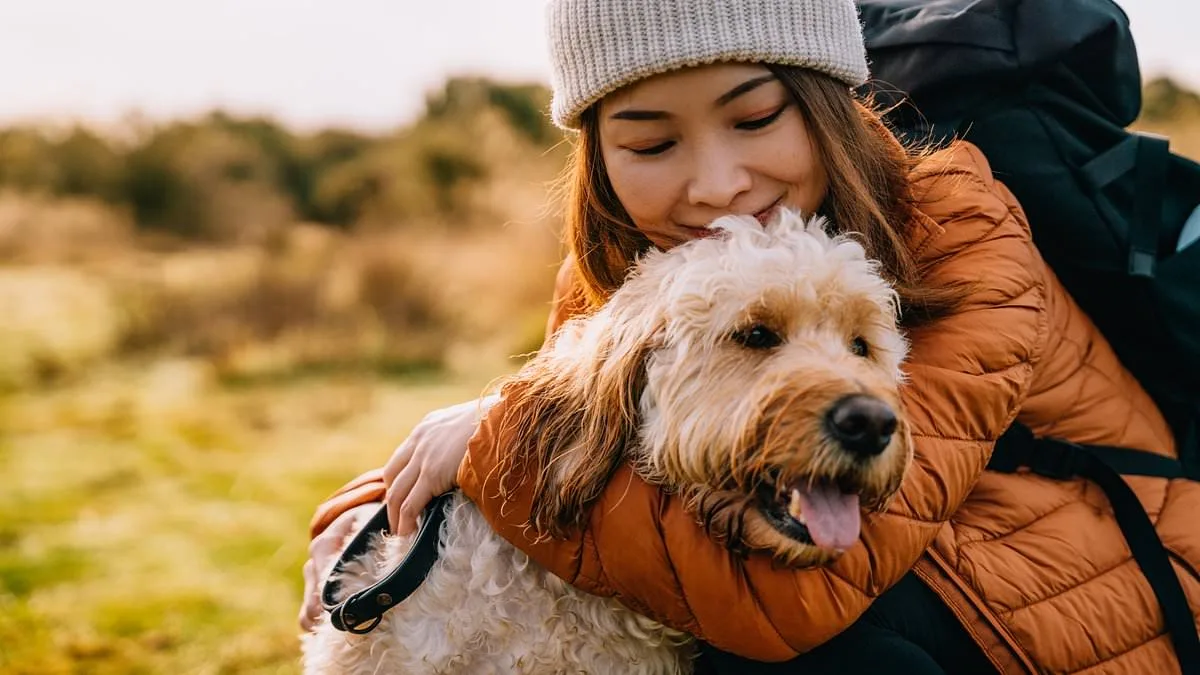Fox Tapeworm Spreads to Washington State: Emerging Health Threat in North America