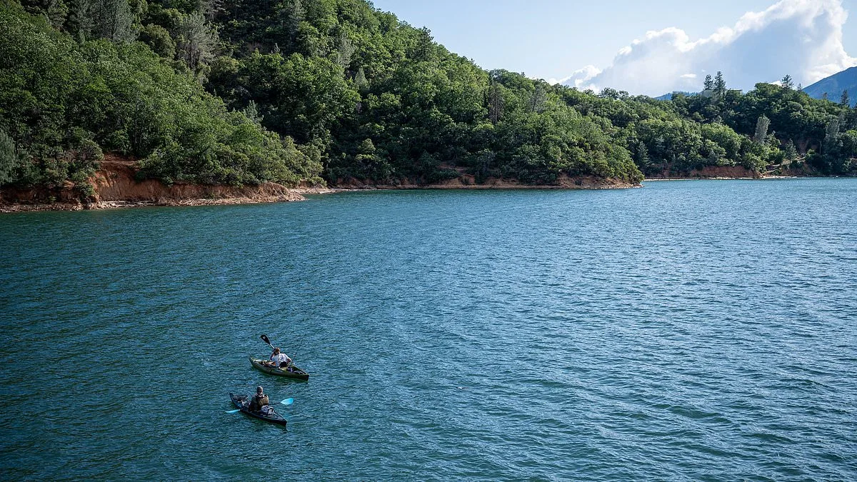 Tragedy Strikes Shasta Lake: Five-Year-Old Drowns After Entering Water Without Life Jacket