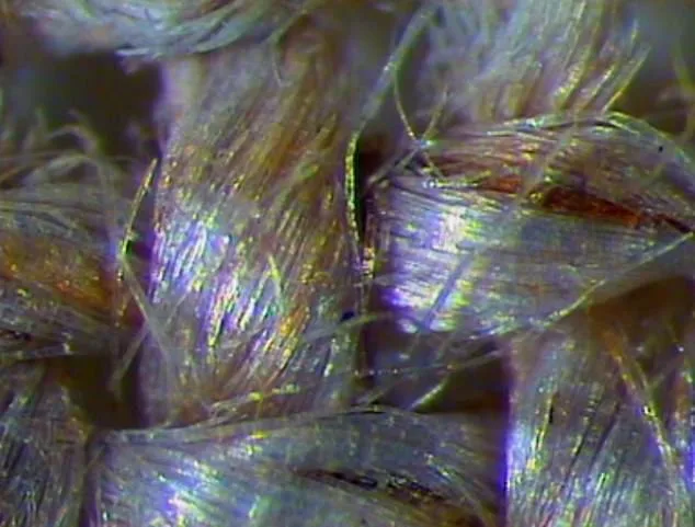 Unveiling the Shroud of Turin's Secret: A Physicist's 5-Year Study on Its Mysterious Image