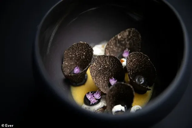 Chicago Restaurant Group Board Member Faces Legal Battle Over Alleged $1.4M Embezzlement for Lavish Personal Spending