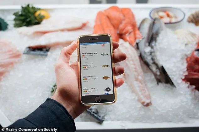 Cod Crisis: The Decline of UK Fish Stocks Threatens a National Dish