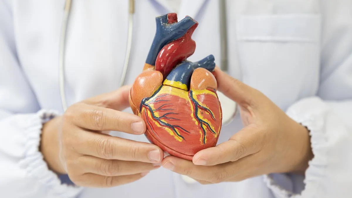 Routine Heart Scan with AI Can Predict Heart Failure Five Years in Advance