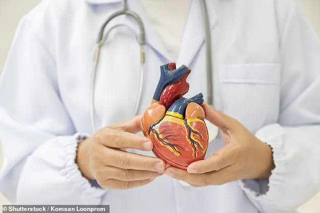 Routine Heart Scan with AI Can Predict Heart Failure Five Years in Advance