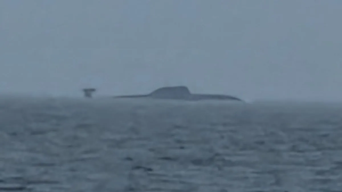 UK Defence Secretary Confirms Covert Russian Operation Targeting Critical Energy and Data Cables in British Waters