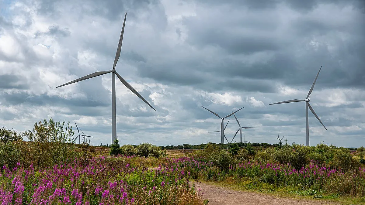 Britain's Energy Independence Milestone: 53% Domestic Power Generation Driven by Renewables